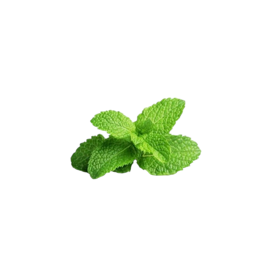 MENTHE POIVREE
