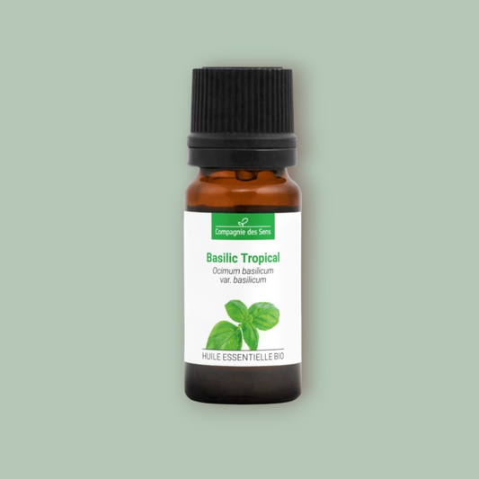 Huile Essentielle BASILIC TROPICAL